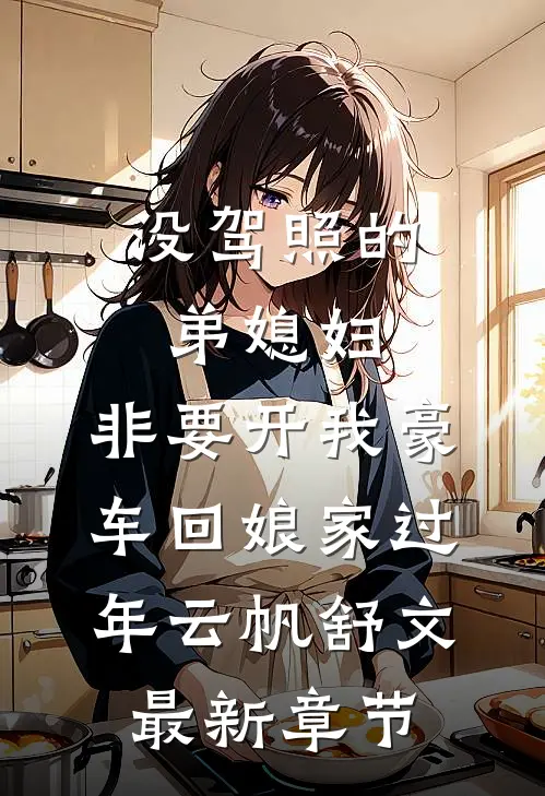 没驾照的弟媳妇，非要开我豪车回娘家过年云帆舒文最新章节