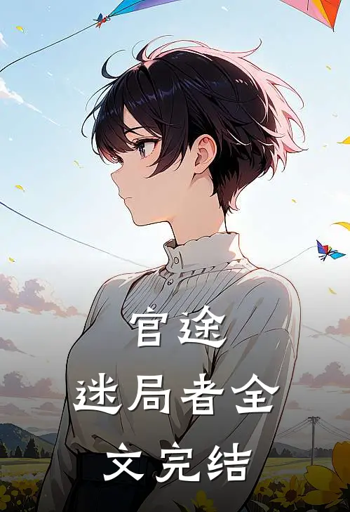 官途：迷局者全文完结