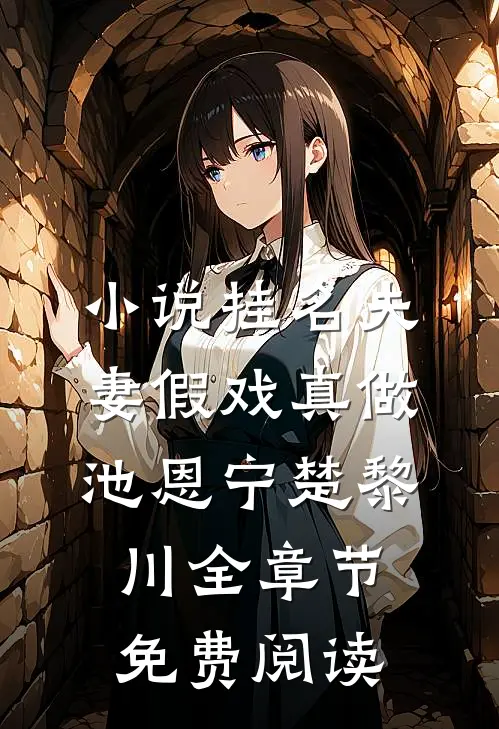 小说挂名夫妻假戏真做池恩宁楚黎川全章节免费阅读