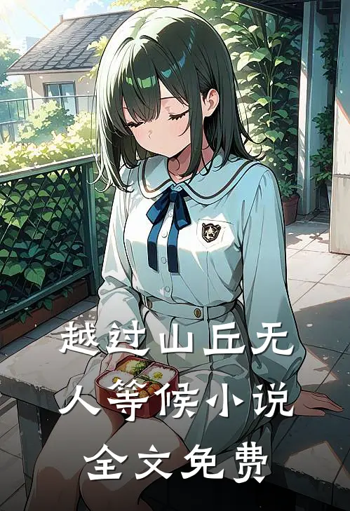 越过山丘无人等候小说全文免费