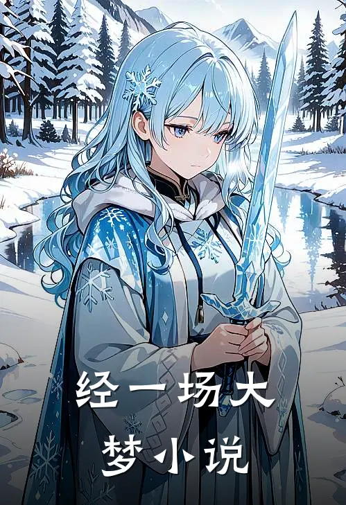 经一场大梦小说