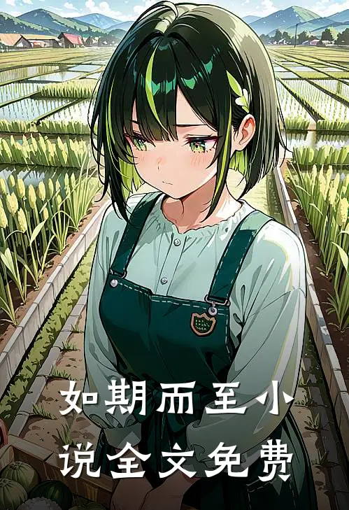 如期而至小说全文免费
