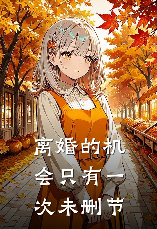 离婚的机会只有一次未删节