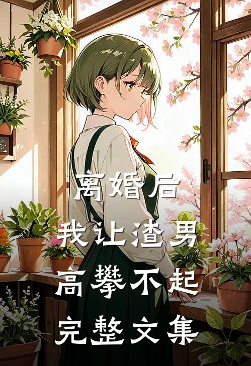 离婚后，我让渣男高攀不起完整文集