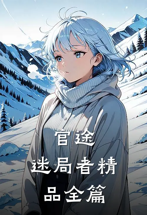 官途：迷局者精品全篇