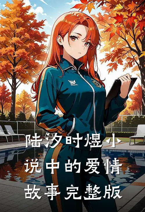 陆汐时煜小说中的爱情故事完整版