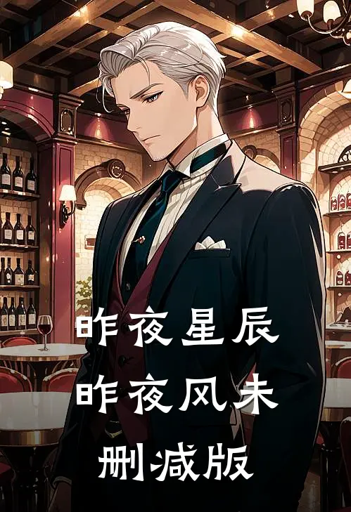 昨夜星辰昨夜风未删减版
