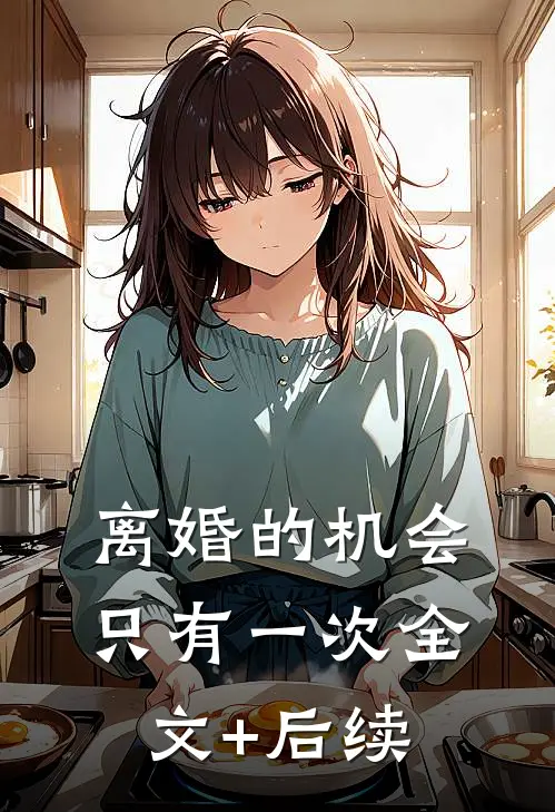 离婚的机会只有一次全文+后续