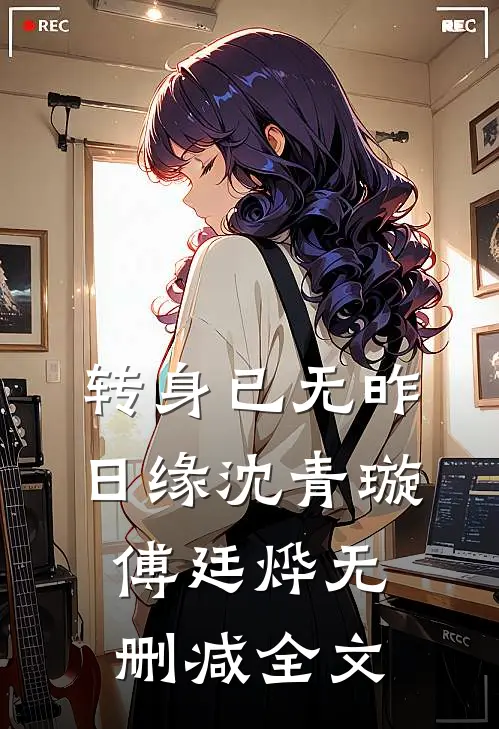 转身已无昨日缘沈青璇傅廷烨无删减全文