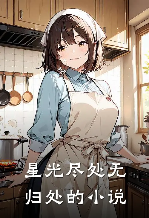 星光尽处无归处的小说