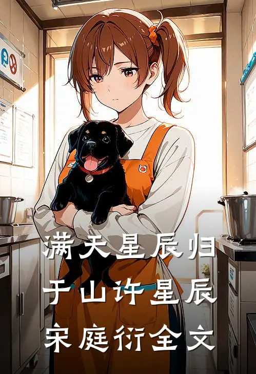 满天星辰归于山许星辰宋庭衍全文