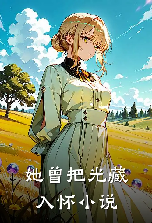 她曾把光藏入怀小说