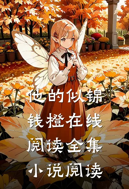 他的似锦钱橙在线阅读全集小说阅读