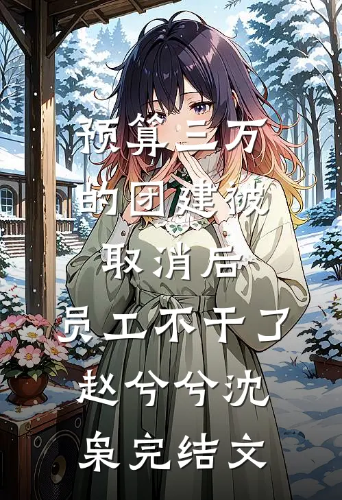 预算三万的团建被取消后，员工不干了赵兮兮沈枭完结文