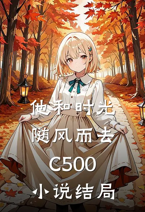 他和时光随风而去C500小说结局