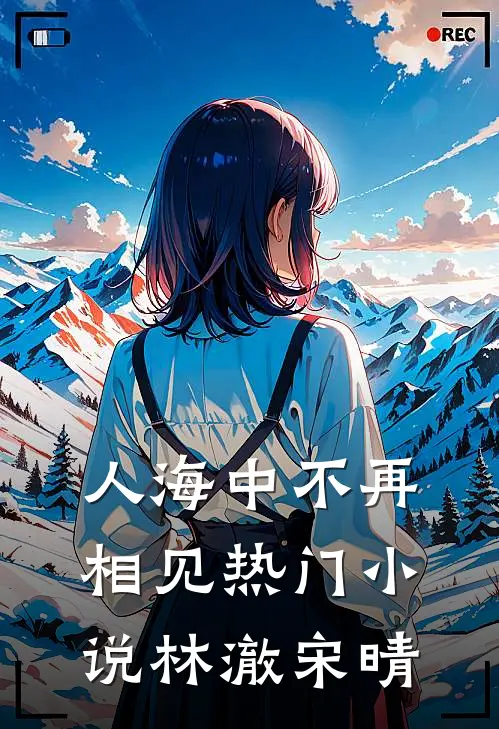 人海中不再相见热门小说林澈宋晴