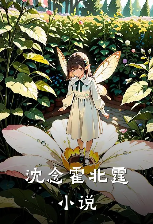 沈念霍北霆: 小说