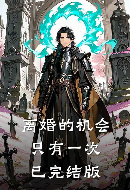 离婚的机会只有一次已完结版