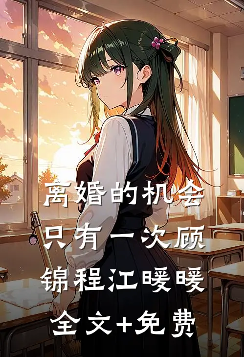 离婚的机会只有一次顾锦程江暖暖全文+免费