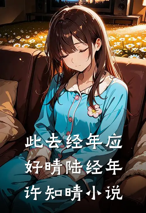 此去经年应好晴陆经年许知晴小说