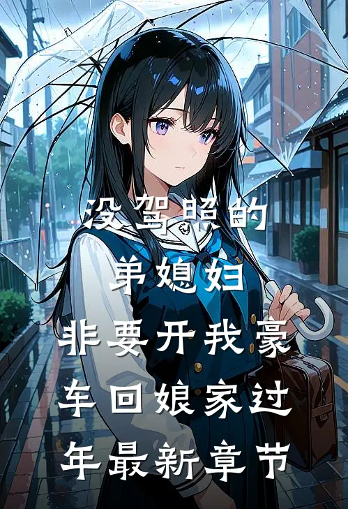 没驾照的弟媳妇，非要开我豪车回娘家过年最新章节