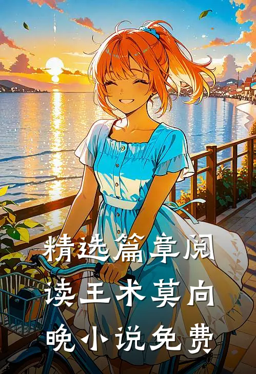 精选篇章阅读王术莫向晚小说免费